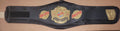 Official UFC Ulti-Man Vintage Replica Championship Title Belt