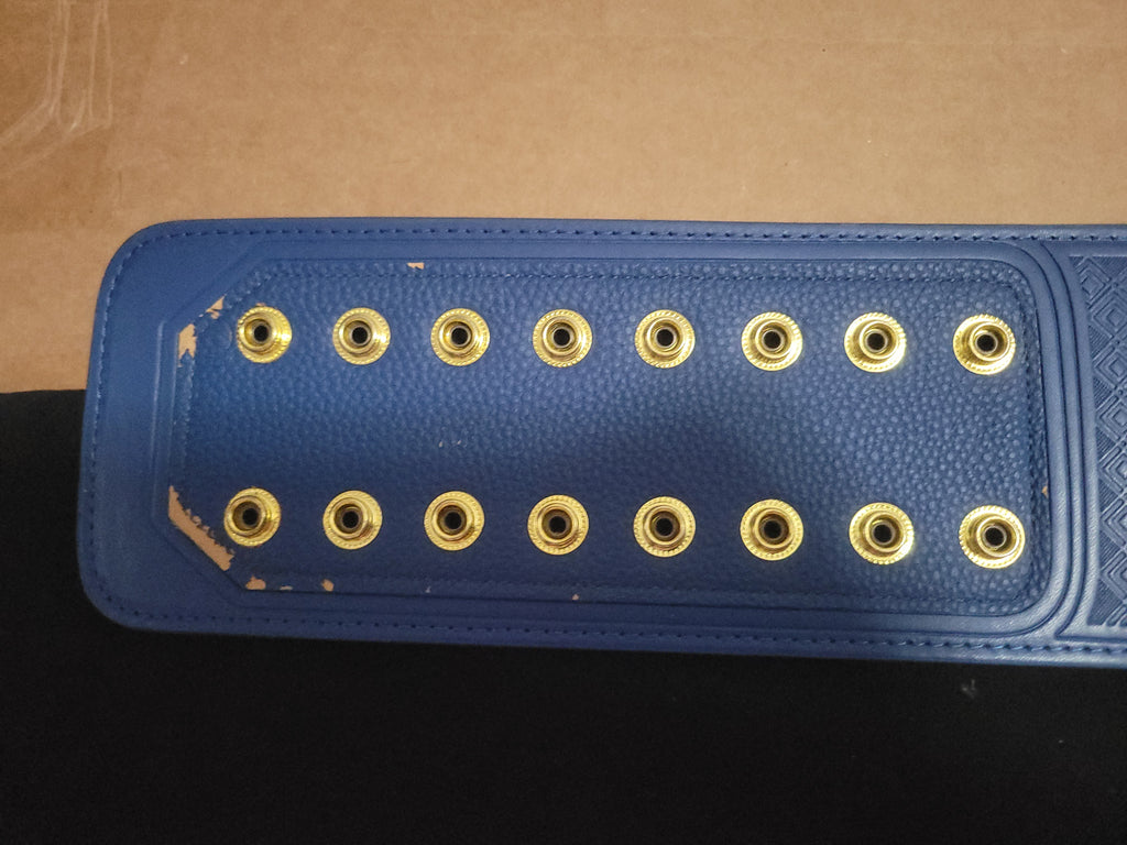 Official WWE Shop Blue Universal Commemorative Title Belt