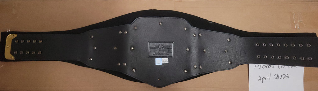 Official WWE Shop Blue Universal Commemorative Title Belt