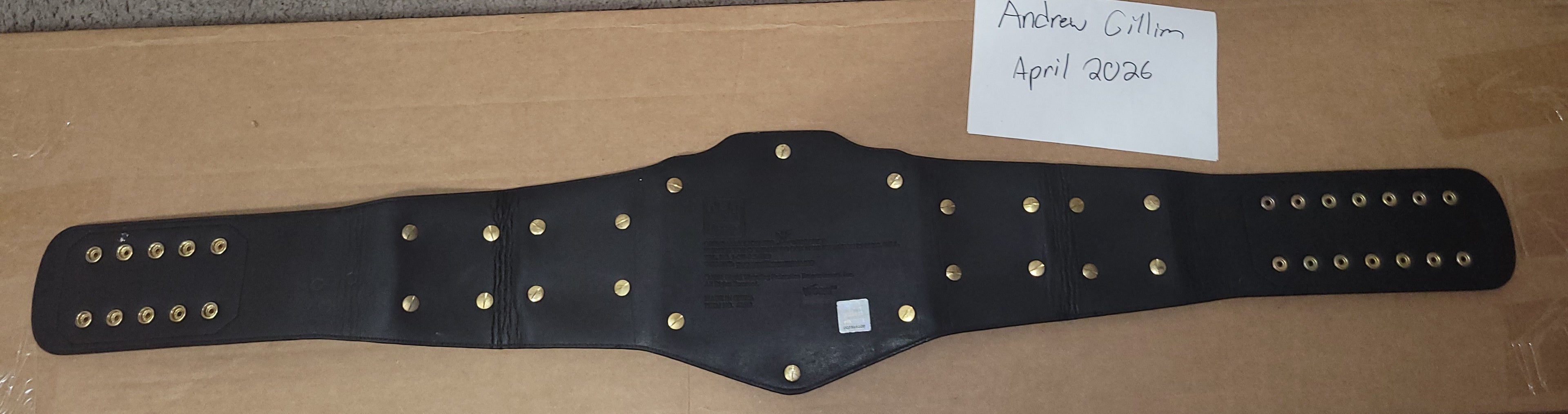 Official 2001 Figs Inc WWF Light Heavyweight Replica Title Belt